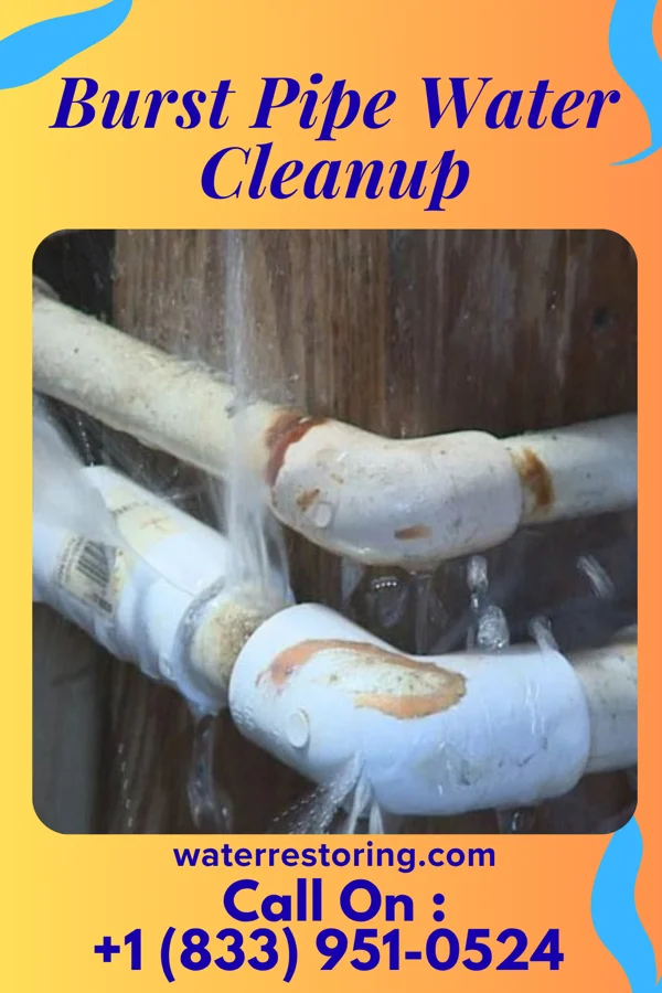 Burst Pipe Water Cleanup in Concorde Hills, OH