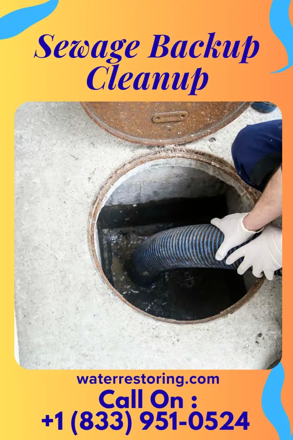 Sewage Backup Cleanup in Concorde Hills, OH
