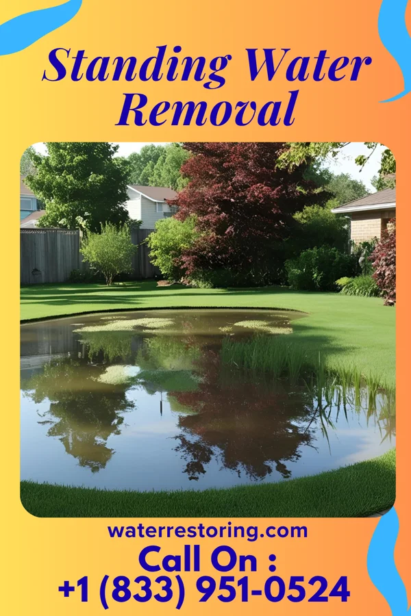 Standing Water Removal in Concorde Hills, OH